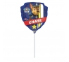 Fooliumist õhupall pulgaga "Paw Patrol Chase" (20x22 cm)